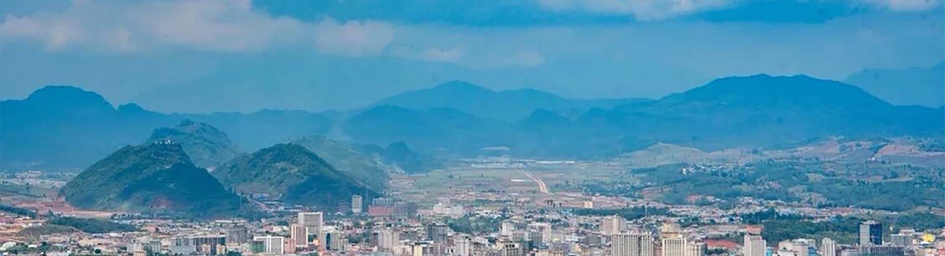 腾龙国际公司