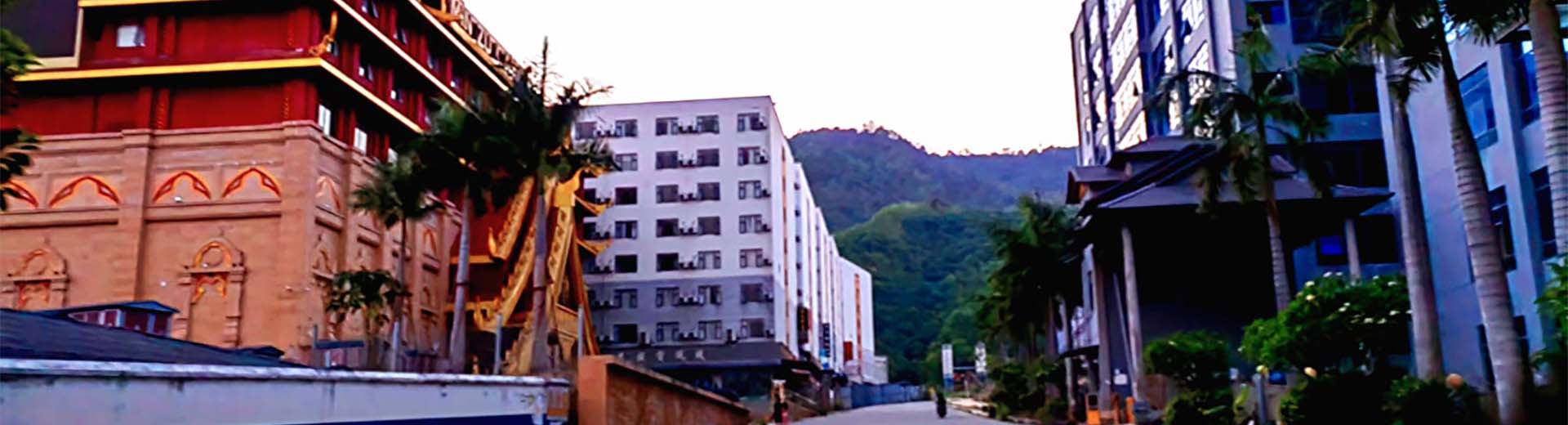 腾龙国际公司