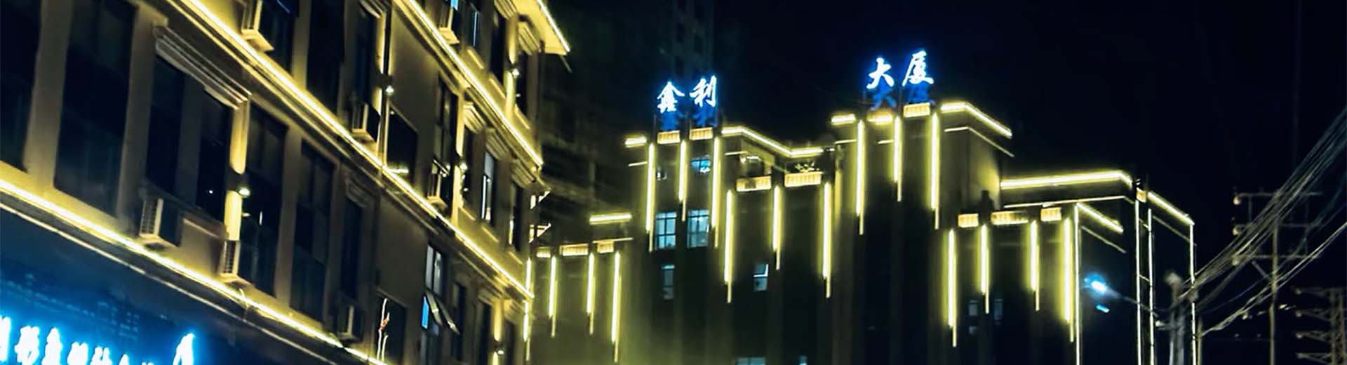 腾龙国际公司